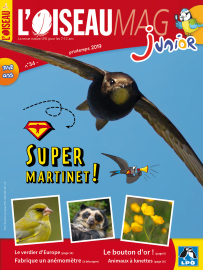 Couverture de l'OISEAU MAG JUNIOR n°34